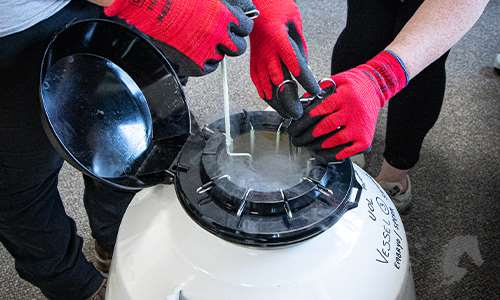 Frozen Semen Handling Course